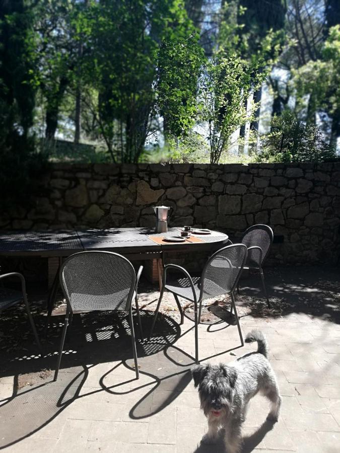 Casanova Di Ricavo Villa Gaiole in Chianti Luaran gambar