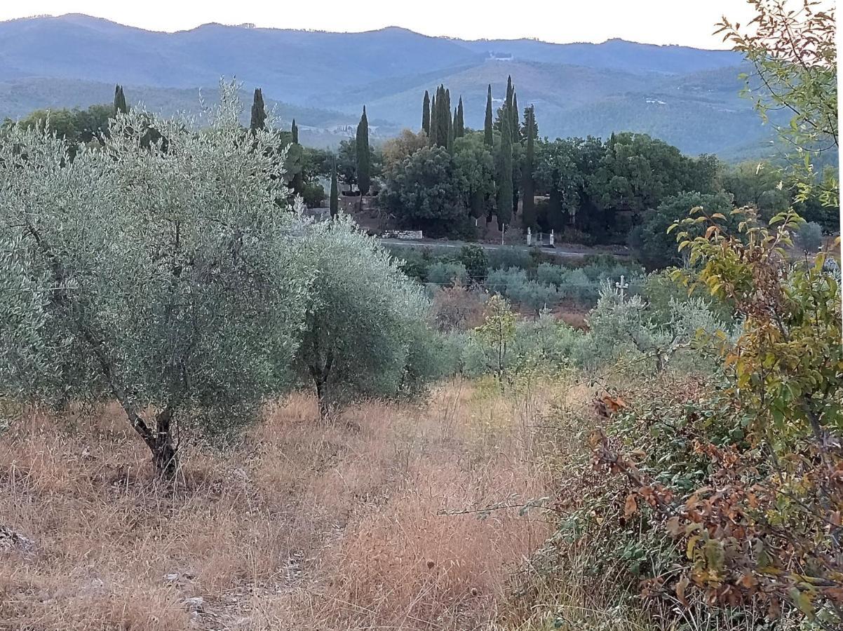 Casanova Di Ricavo Villa Gaiole in Chianti Luaran gambar