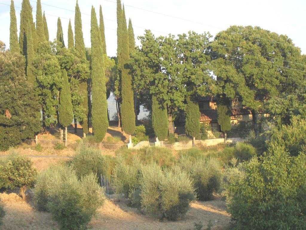 Casanova Di Ricavo Villa Gaiole in Chianti Luaran gambar
